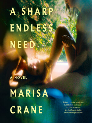 A Sharp Endless Need - Audiobook